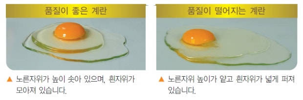 좋은계란 이미지