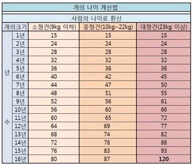 댕댕이들과 사람의 나이 | 인스티즈