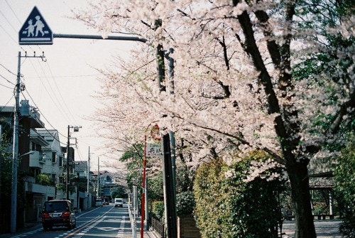 [EXO/민석세훈찬열경수종대종인] 뜨거운 청춘,다시 이야기하다. 02 | 인스티즈