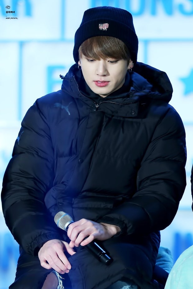 니가사는고기 이미지