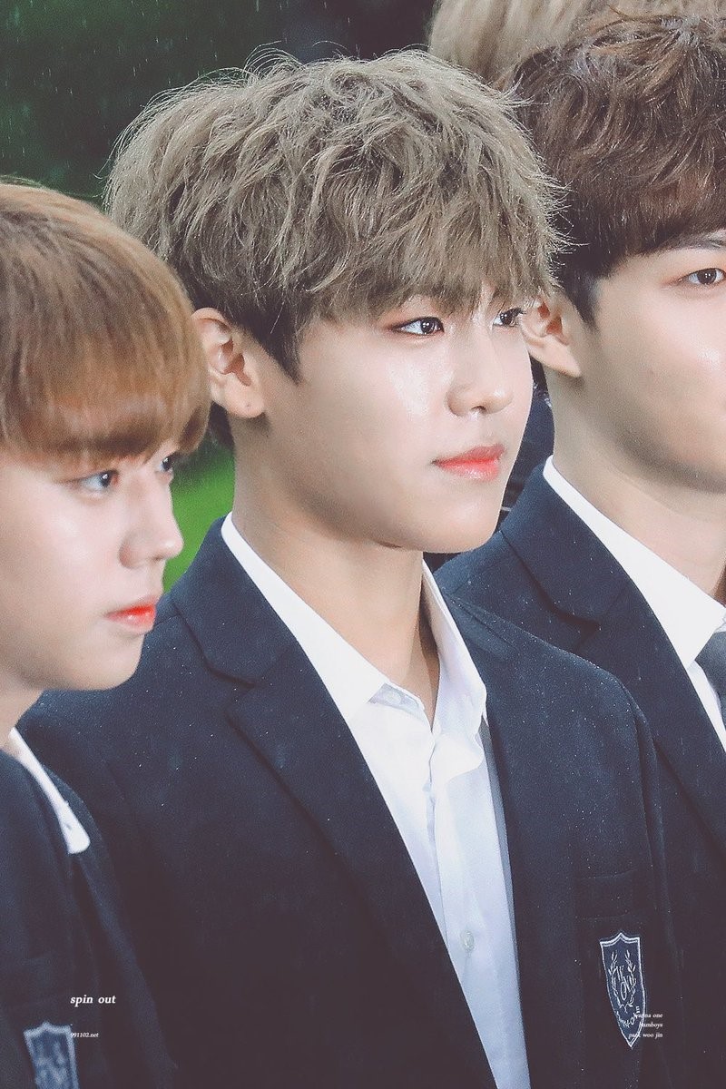 참우진 이미지