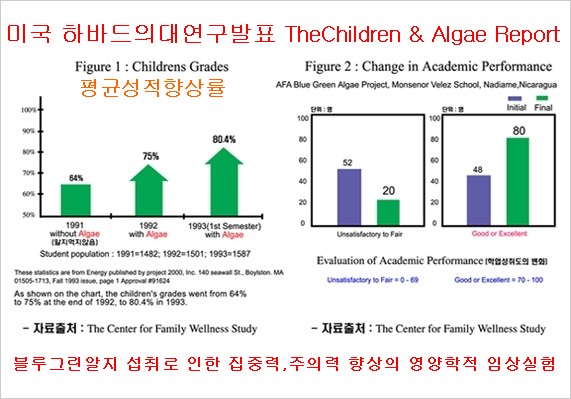 스펀지 이미지