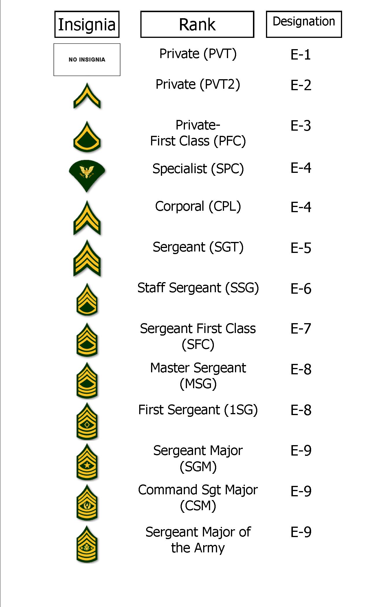 The Army Enlisted Ranks In The Army